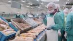 Робота в Словаччині на хлібокомбінаті, зарплата 1200 Євро на місяць - Вакансия объявление в Хмельницком