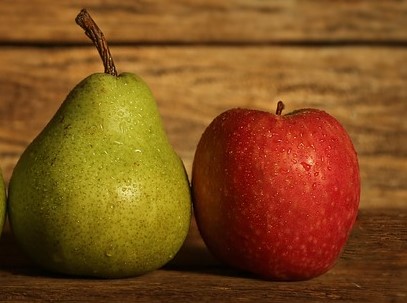 Продам саженцы груши и яблони - фотография