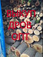 Закупаем дрова - Покупка объявление в Запорожье