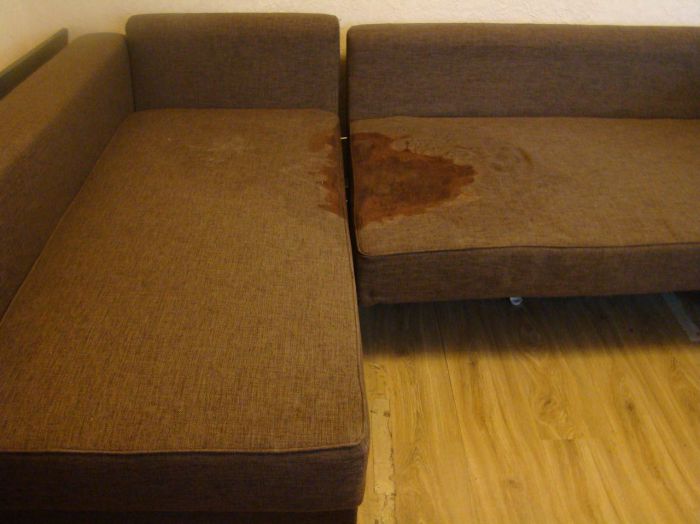 Виїзна хімчистка м’яких меблів та килимів - фотография
