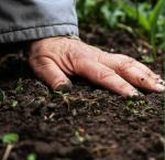 Агрисолика - кремниевое удобрение для сада и огорода в гранулах - Продажа объявление в Могилев-Подольском