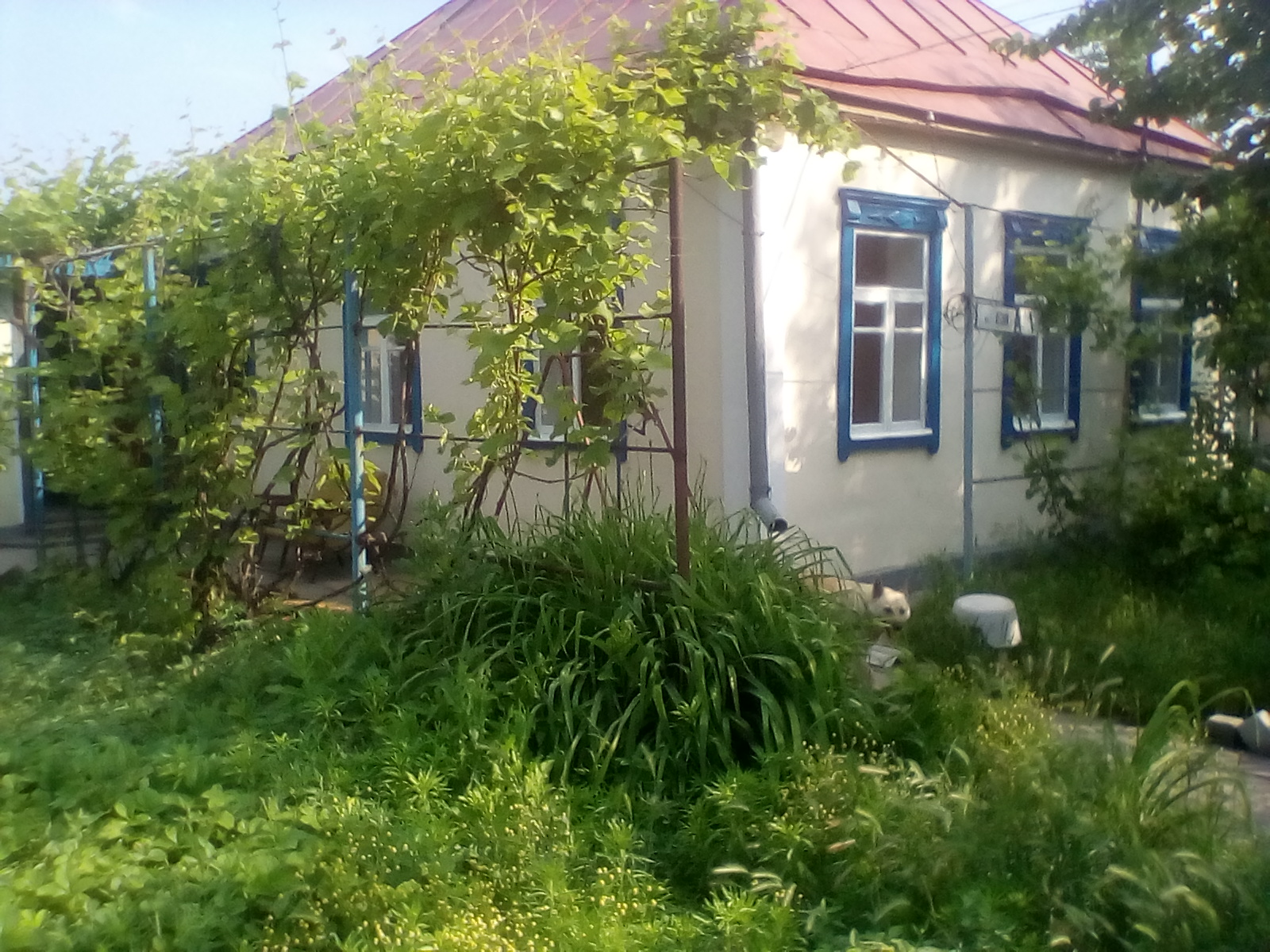 Продам дом в центре г Новомосковска - фотография