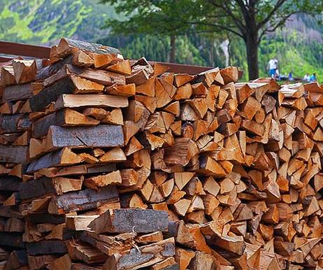 Продам дрова твердих порід дерева - фотография