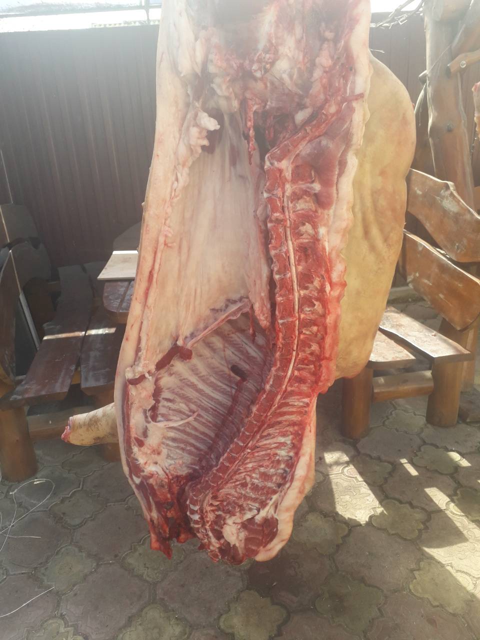 Мясо свинина домашняя розница,опт по договоренности - фотография